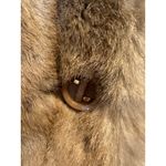 Vintage Boho Chic Effortless French Girl Oversized Fur Coat Brown Size M Photo 7