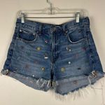 American Eagle  Denim '90s Boyfriend Short Embroidered Women’s Sz 6 Photo 1
