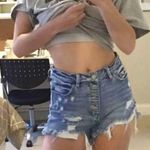 KanCan USA  jean Shorts Photo 0