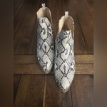 CL by Laundry  8 Photo 1