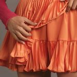 Hutch  Pleated Skort Photo 3