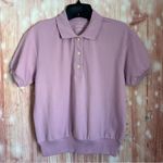 Everlane  The Oversized Polo Top Short Sleeve XXS Purple Lilac NWT Photo 1