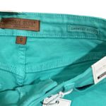 Judy Blue  turquoise Denim High Waist Button Fly Shorts Size S NEW Photo 3