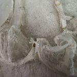 Chantelle  lace bra Photo 1