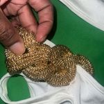 Pretty Little Thing NWT White Bikini 3 Piece Set with Sheer Cover-Up size 6-FLAW Photo 4