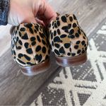 Sole Society  leopard print‎ loafers Photo 3
