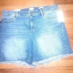 Wonderly  NWT 16 Mid short jean shorts Photo 0