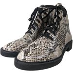 Linea Paolo Moto Boot‎ 5.5 Snakeskin Print Lace Up Ankle Boots Combat Booties Gray Photo 1