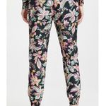 Isabel Marant  Etoile Gray Floral Leopard Print Daloni Joggers S Photo 3
