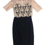 Paper Dolls  Dress US 4 EU 36 UK 8 Black Cream Crocheted Lace Short Sleeve NEW Photo 0