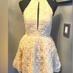 ASOS NWOT- Luxe 3D floral halter Dress Photo 2