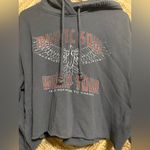 Hollister  Y2K Mystic Soul World Tour Cropped Gray Sweatshirt,Hoodie,Size M,Women Photo 1