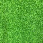 Aerie  Cozy Good Vibes Fuzzy Green Sweatshirt size XS Photo 5