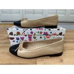 Jeffrey Campbell  Arabesque Cap Toe Flats Natural Black Leather 7.5 Lightly Worn Photo 3