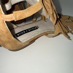 Alice + Olivia  Gladiator Sandals Womens 36 US 6 Paula Suede Tan Zip Up Tall NEW Photo 6