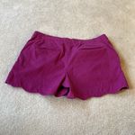 Kenar  Shorts Photo 5