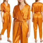 Joie  Tau Animal Print Jumpsuit in Copper Photo 4