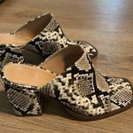 Urban Outfitters UO faux snake skin heels Photo 0