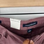 Calvin Klein  Rose Rock Ankle Skinny Jean‎ Stretch Mauve Purple NWT Size 12 Photo 3