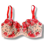 Victoria's Secret Dream Angels Push-Up Bra Women's 34DDD Floral Embroidered Photo 0