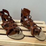 Dolce & Gabbana  BROWN TAN LEATHER GLADIATOR STRAPPY FLATS SANDALS zip size 38.5 Photo 0