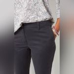 J.Jill Relaxed Chino Boyfriend Pants Light Onyx Sz 14 NWT $79 Photo 3