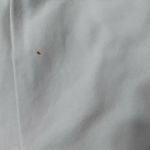 IZOD  polo shirt (#490) Photo 5