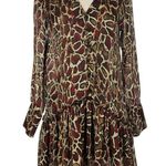 ZARA  Animal Print Long Sleeve Dress Photo 0
