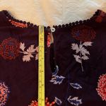 Daniel Rainn Floral  Women's Top size medium Photo 7