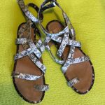 CAbi Strappy Gladiator Sandals 7 Photo 1