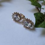 Gold with Clear Cubic Zirconia Oval Huggie Earrings Photo 1