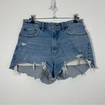 Abercrombie & Fitch Women’s The Mom Short High Rise Curve Love Size 8 Photo 2