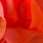 Fighting Eel tote bag Photo 4