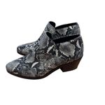 Intentionally Blank Black White Snakeskin Ankle Booties 10 Photo 4