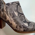 Carlos Santana Carlos by “Carmen” Snake Print Ankle Bootie Size 10M Photo 8