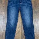 American Eagle Next Level Stretch Curvy Hi-Rise Legging Jeans Photo 0