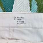 a.n.a  Beige Shadow Stripe High Rise 4" Shorts Size 14 Photo 6