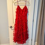 Milly  Joselyn Embroidered Midi 3D Tulle Dress | Size 6 Photo 1