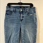 Judy Blue  Women's Denim Boyfriend Jeans Photo 2