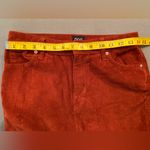 BDG  Urban Outfitters Mom‎ High-Rise wide well corduroy pants, rust color size 26 Photo 4