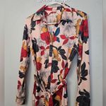 Anatomie Cassie Floral Print Shirt Dress Red Photo 3