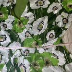 ASTR NWT The Label ruffle front dress green mini long sleeve floral flowy medium Photo 10