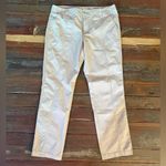 Anthropologie  Hei Hei Y2K Style Pin Striped Pants Sz 30 💚🍄 Photo 4