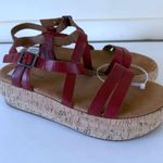 Lucky Brand Women's Jacobean Platform Sandal Wedge SZ 10 New Photo 1