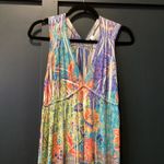 Boston Proper  boho sleeveless Hippy multicolor floral paisley mix maxi dress M Photo 2