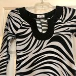 Sweet Storm  Women’s Zebra Gray and White Striped Dress Size Small Photo 1