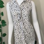 Armani Exchange Off White Polka Dot Blouse New Photo 4