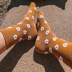 Cute Flower Socks Photo 7