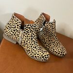 Eric Michael  Lynx Women's Boots Tan Animal Print Leather Upper Size 36 US Size 7 Photo 1