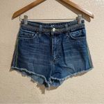 Lee  | vintage rainbow stitch distressed high rise cut off shorts 27 Photo 1